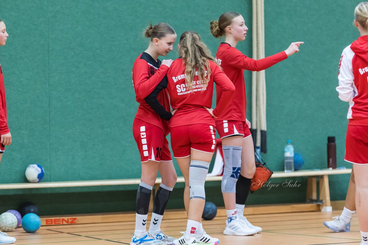 Bild 224 - wCJ Bramstedter TS - ATSV Stockelsdorf : Ergebnis: 28:21